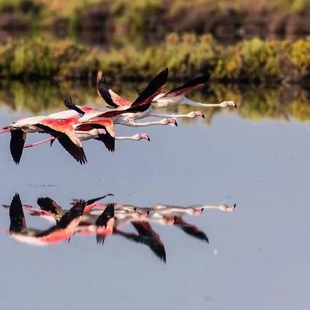 בית נופש Berta